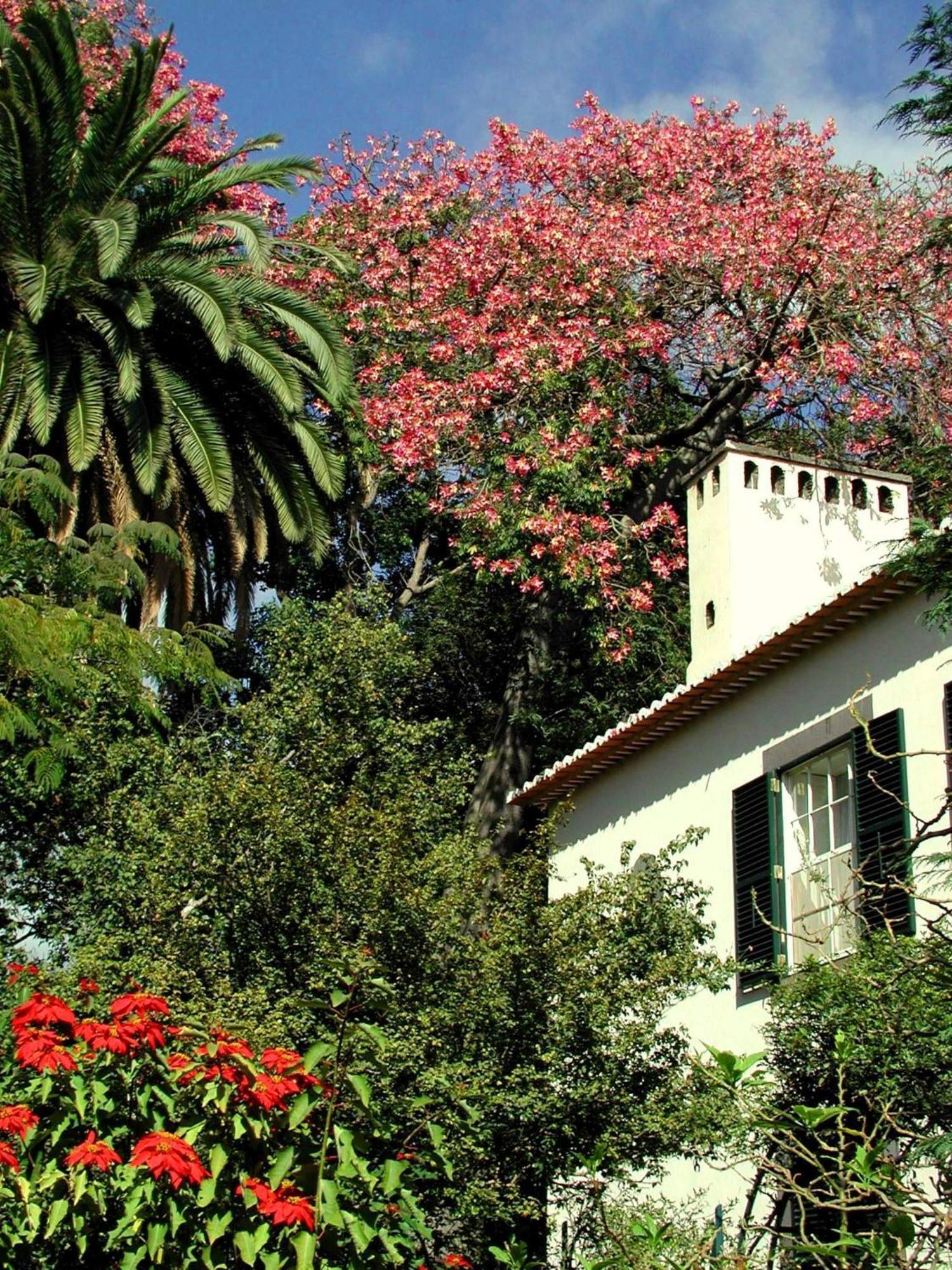 Quinta Da Bela Vista Hotel ฟุงชาล ภายนอก รูปภาพ